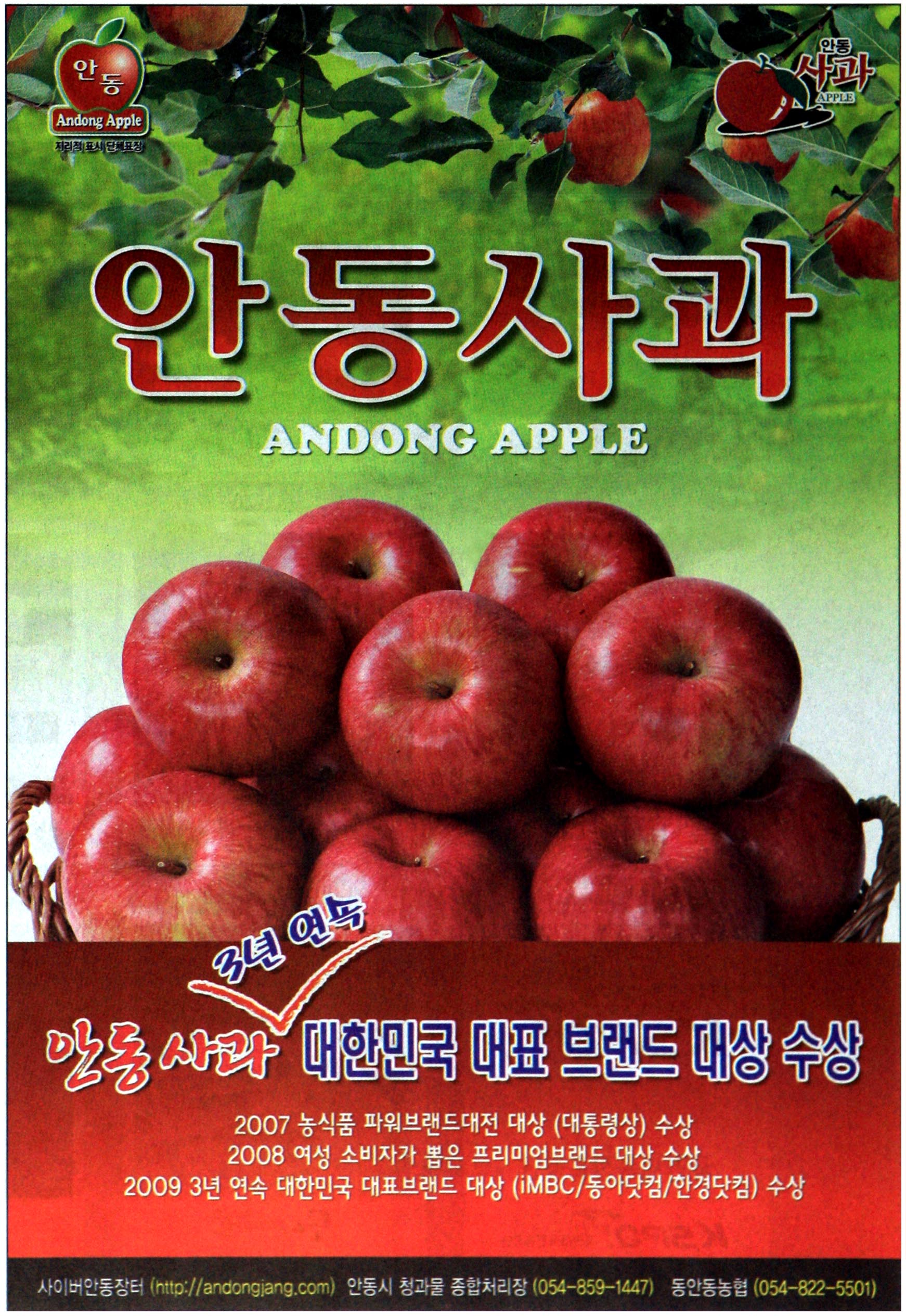 광고정보센터 PRINT광고 :: 안동사과