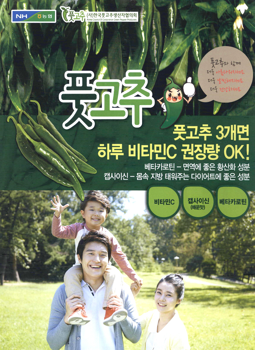 비타민C 하루 권장량 3000 고용량 3000mg 복용 알아두기