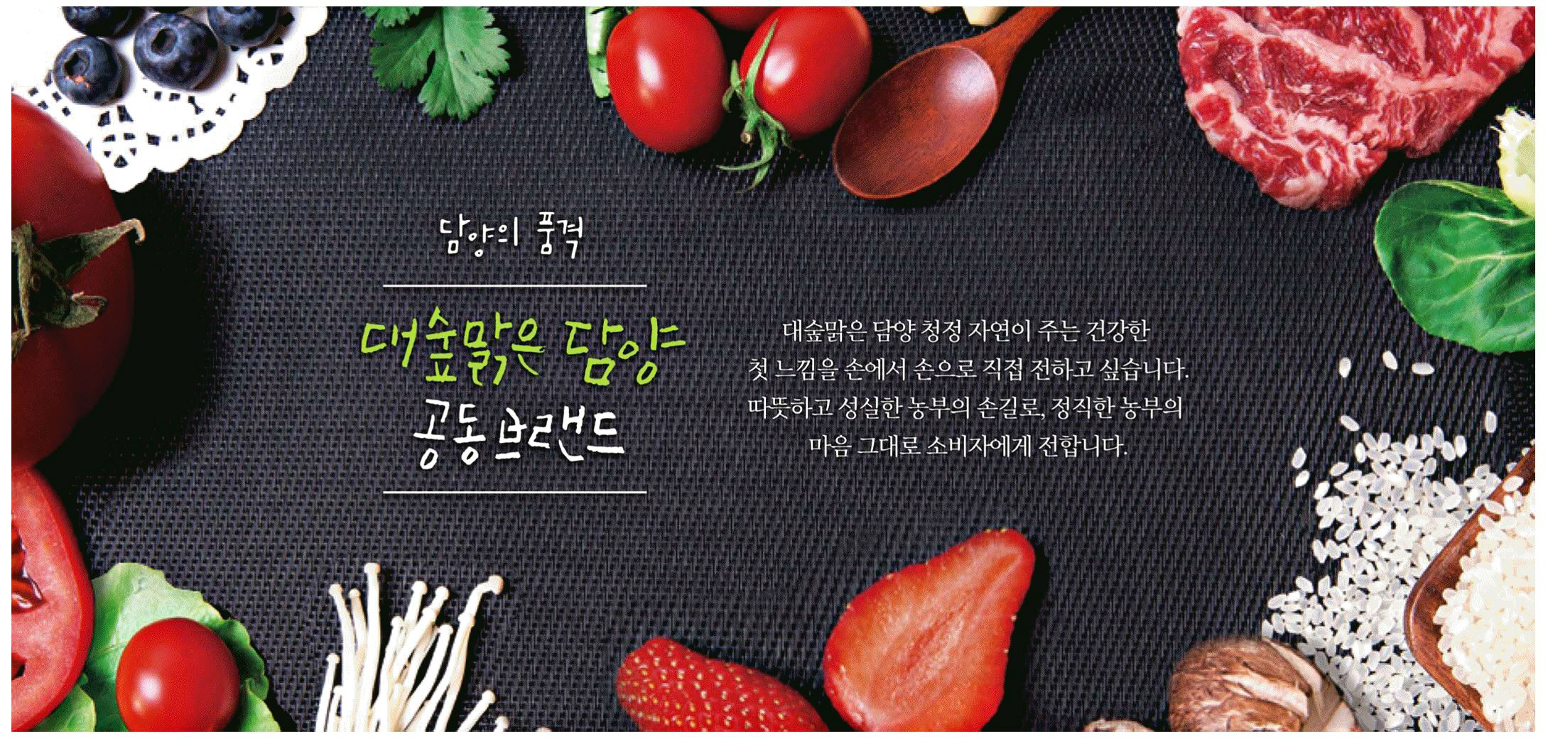 광고정보센터 PRINT광고 :: 담양의 품격 대숲맑은 담양