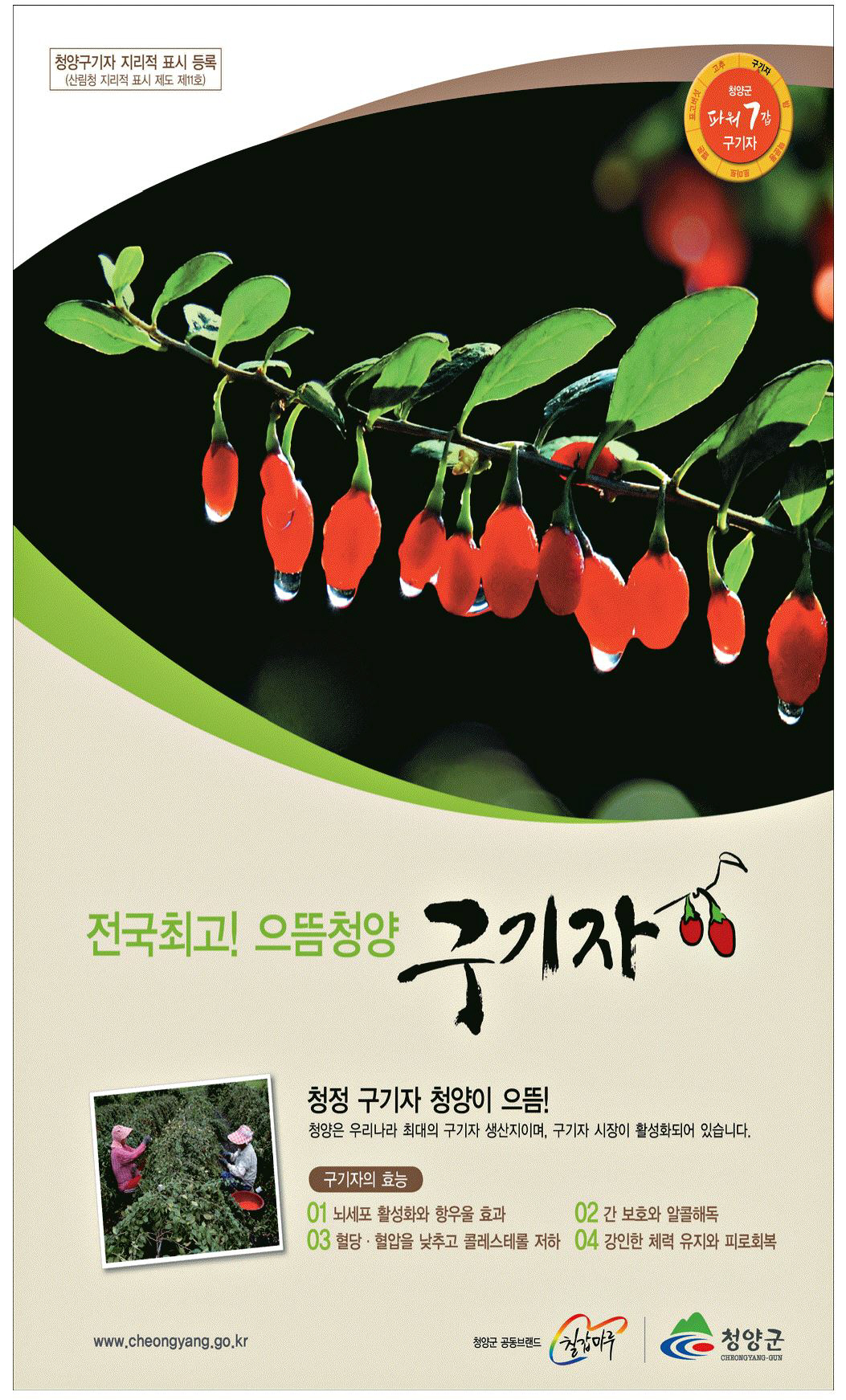 광고정보센터 PRINT광고 :: 전국최고! 으뜸청양 구기자